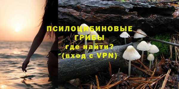 PSILOCYBIN Инсар