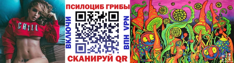 Псилоцибиновые грибы Cubensis Новороссийск