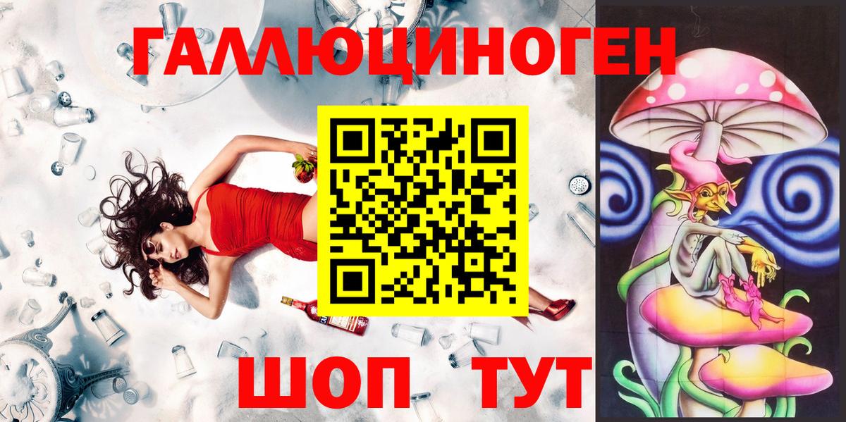 где продают наркотики  Вход с VPN  Новороссийск  Галлюциногенные грибы GOLDEN TEACHER 