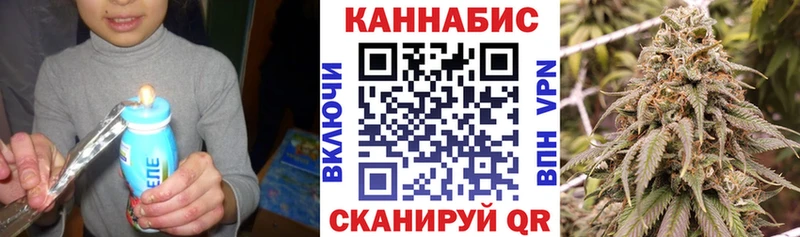 Каннабис сатива Новороссийск